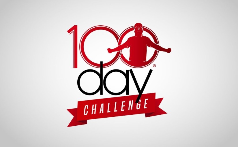 The 100 Days Challenge